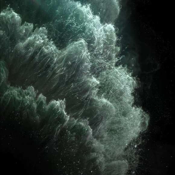 Meet your Posher, Antwon - Picture 1 of 1